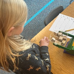 A kindergartner measures an apple in class.